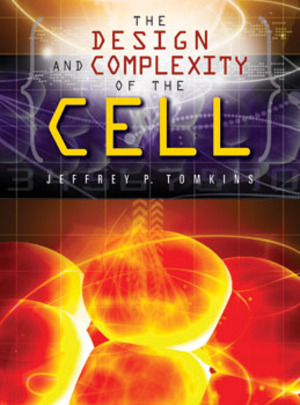 The Design and Complexity of the Cell